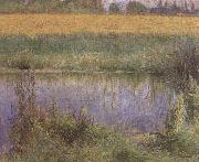 Wladyslaw Podkowinski Field of Lupins oil on canvas